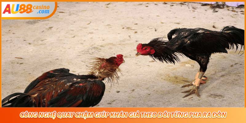 Công nghệ quay chậm giúp khán giả theo dõi từng pha ra đòn