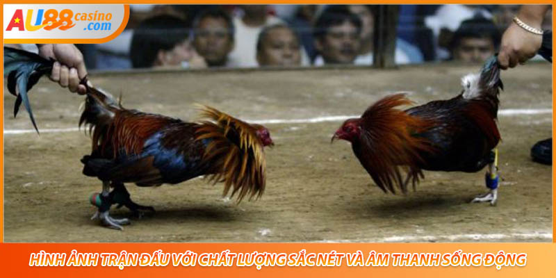 Hình ảnh trận đấu với chất lượng sắc nét và âm thanh sống động.