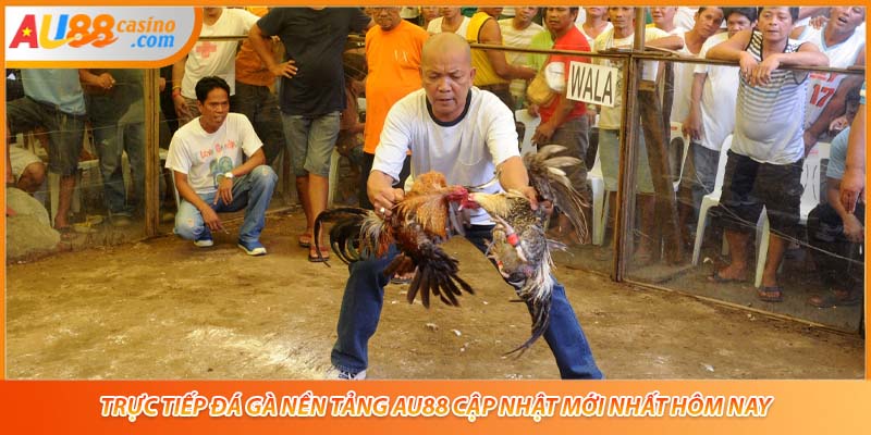 Trực Tiếp Đá Gà Nền Tảng AU88 Cập Nhật Mới Nhất Hôm Nay
